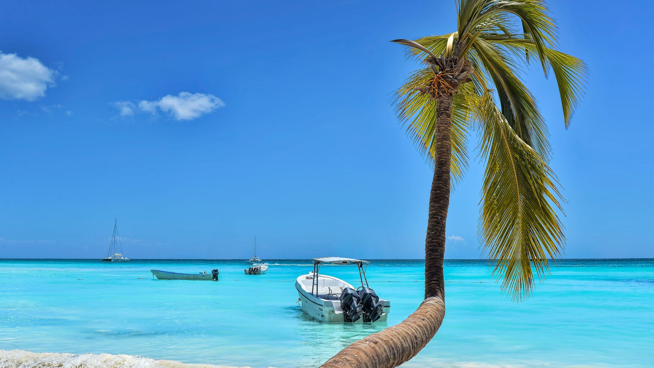 Palm Tree, Caribbean Sea, Boats And Blue Sky. Saona Island, La Romana Province, Dominican Republic.