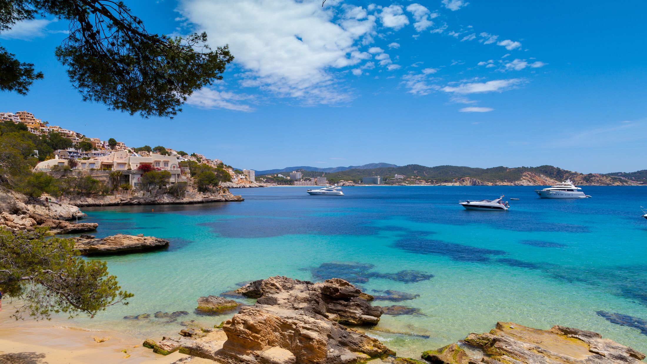 Cala Fornells View in Paguera, Majorca, Spain