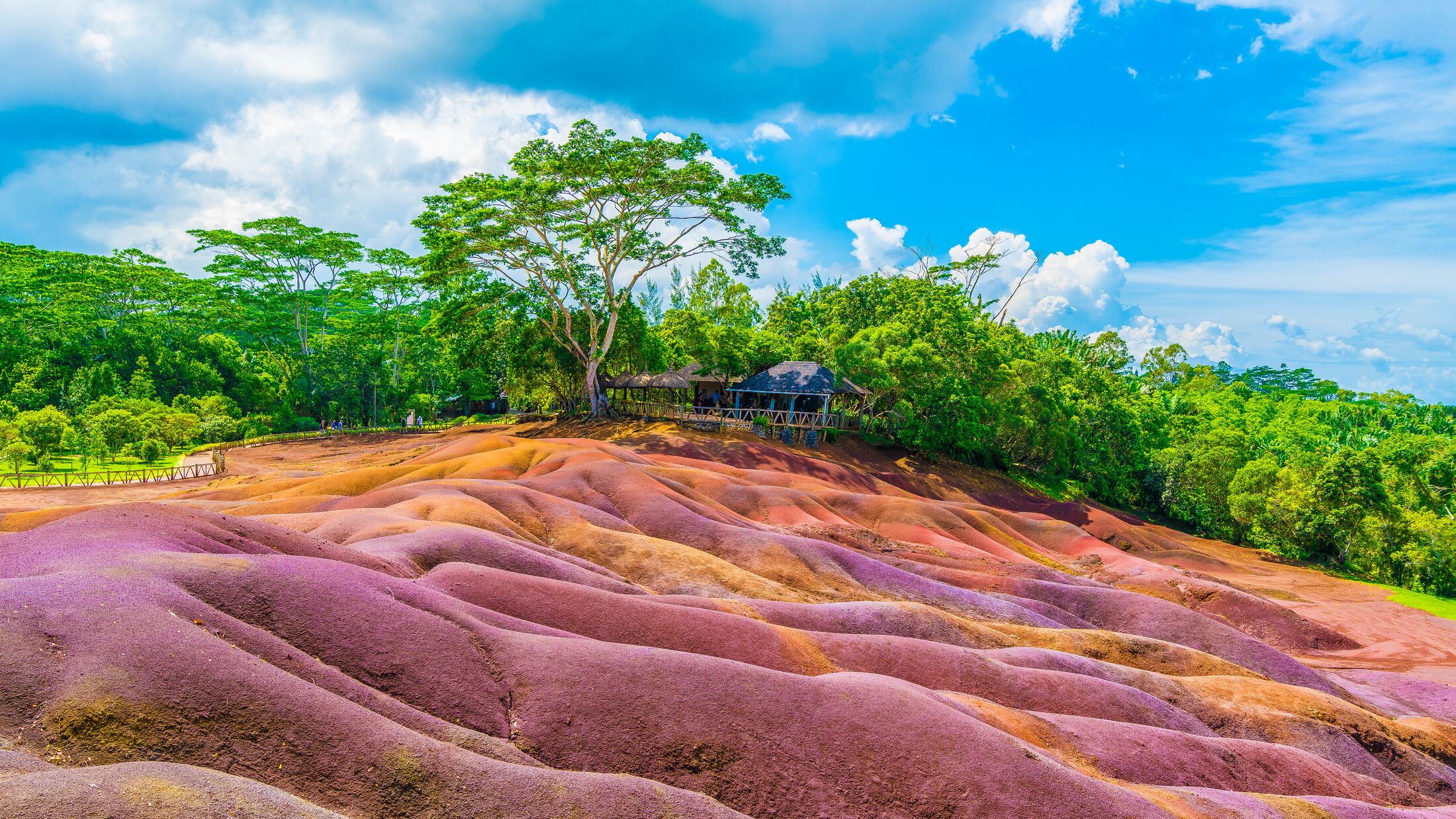 Seven Coloured Earth on Chamarel, Mauritius island, Africa