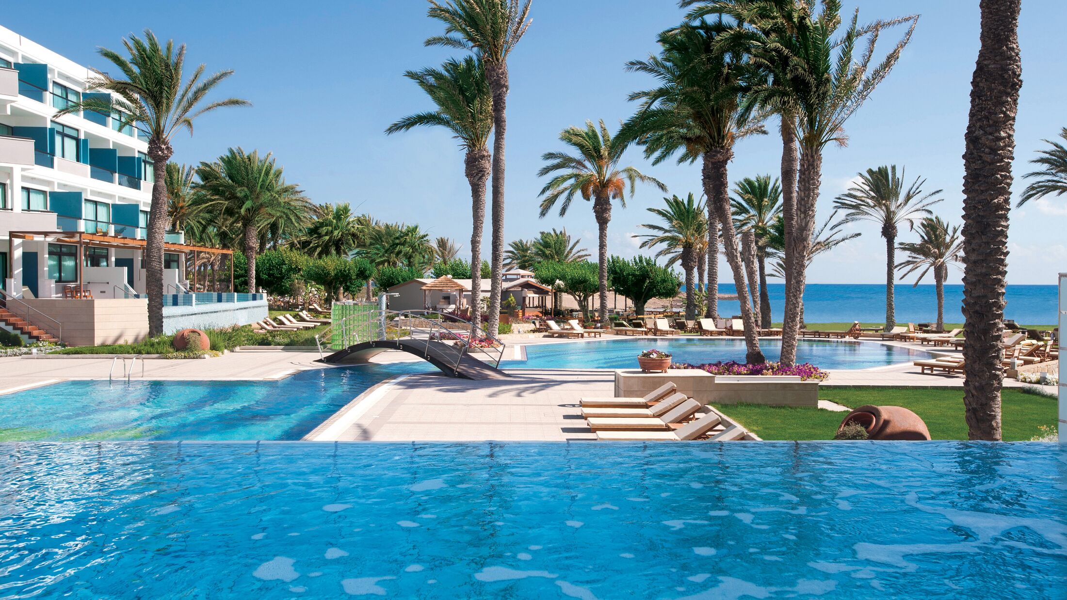 a group of palm trees next to a swimming pool