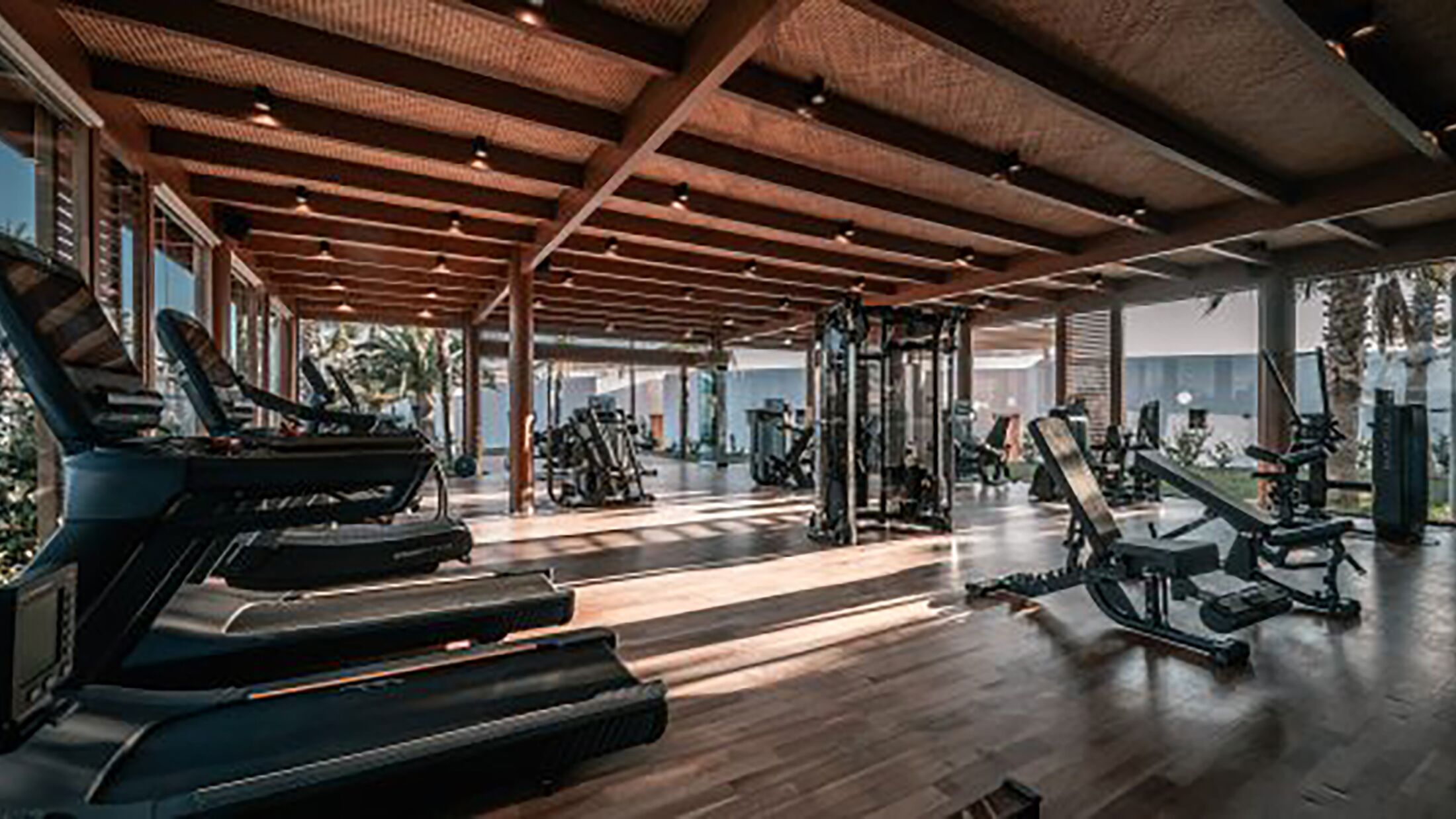 Stella-Island-2025-Gym-001-121999-Hybris